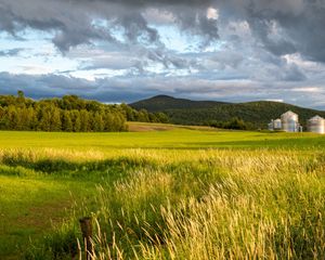 Preview wallpaper landscape, field, grass, hills, trees